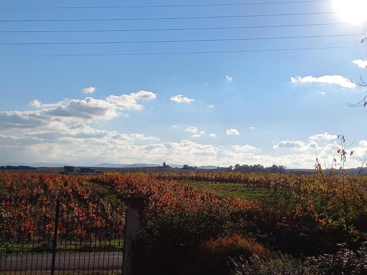 L'Eglantyne Bed & Breakfast La Chapelle-de-Guinchay Bagian luar foto